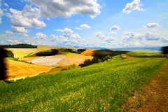 Tuscanyphotopaintingwebsite