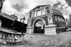 Albert-Hall-web-1