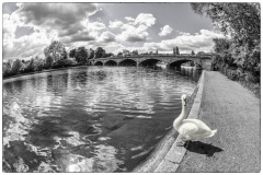 Swan-Hyde-Park